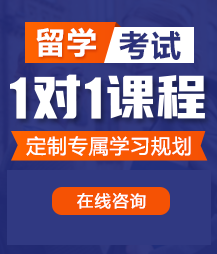 疯狂日逼视频留学考试一对一精品课